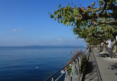 Uferpromenade in Meersburg