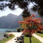 Uferpromenade in Unterach am Attersee