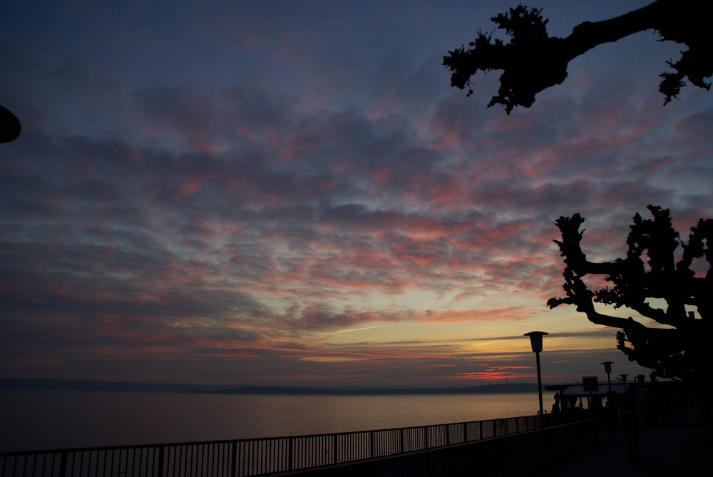 Uferpromenade Meersburg