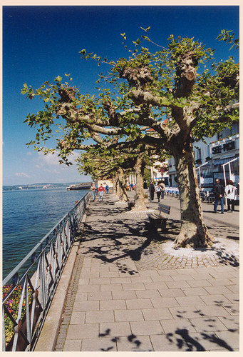 Uferpromenade Meersburg / Bodensee