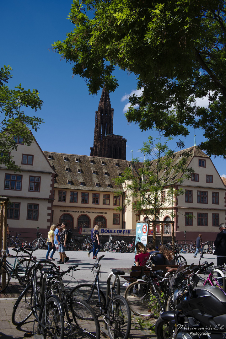 Uferpromenade mit Straßburger Münster im Hintergrund