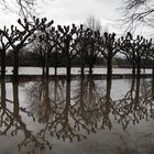 Uferpromenade unter Wasser