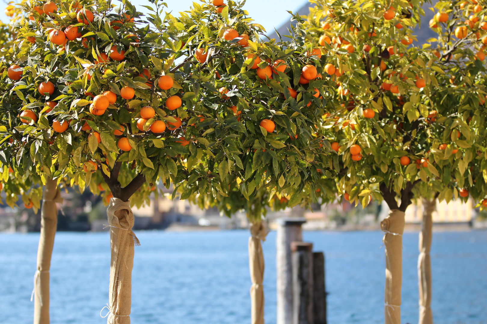 Uferpromenade von Gargnano