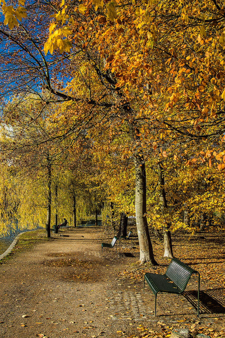 Uferweg am Adenauer Weiher