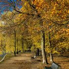 Uferweg am Adenauer Weiher