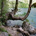 Uferweg am Obersee