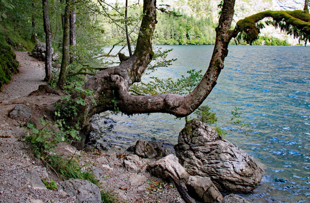 Uferweg am Obersee