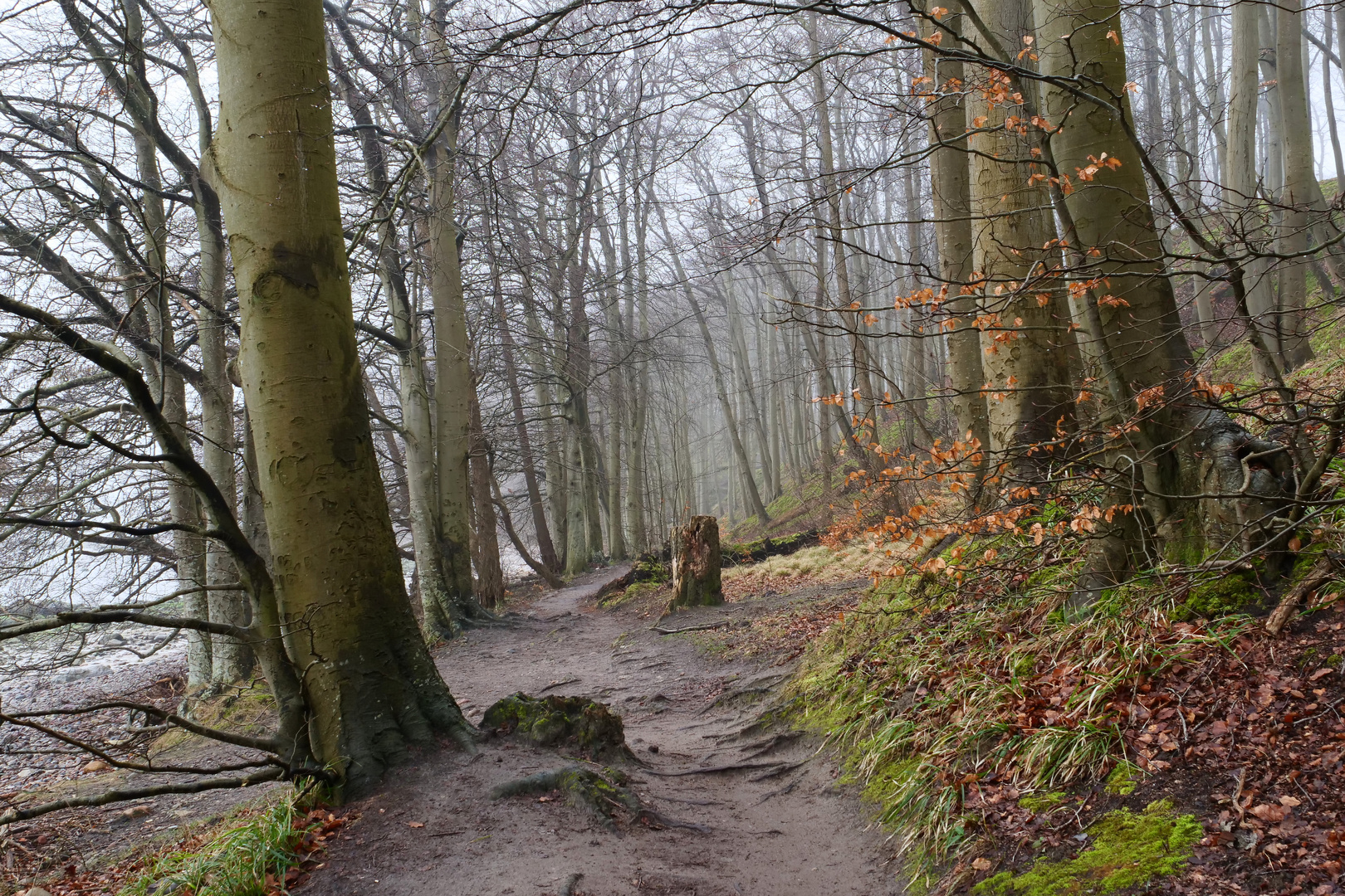 Uferweg an der Ostsee