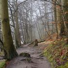 Uferweg an der Ostsee