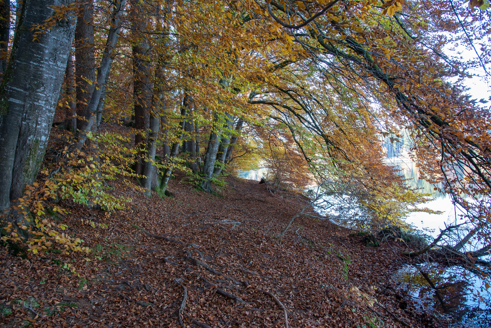 Uferweg