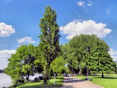 Uferweg im Kölner Rheinpark