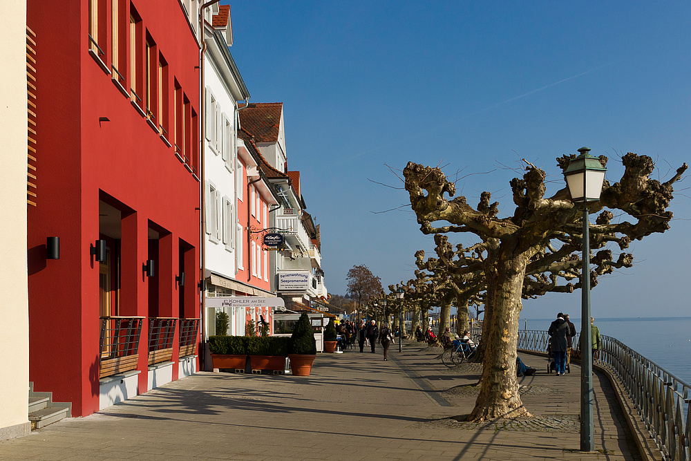 Uferweg in Meersburg