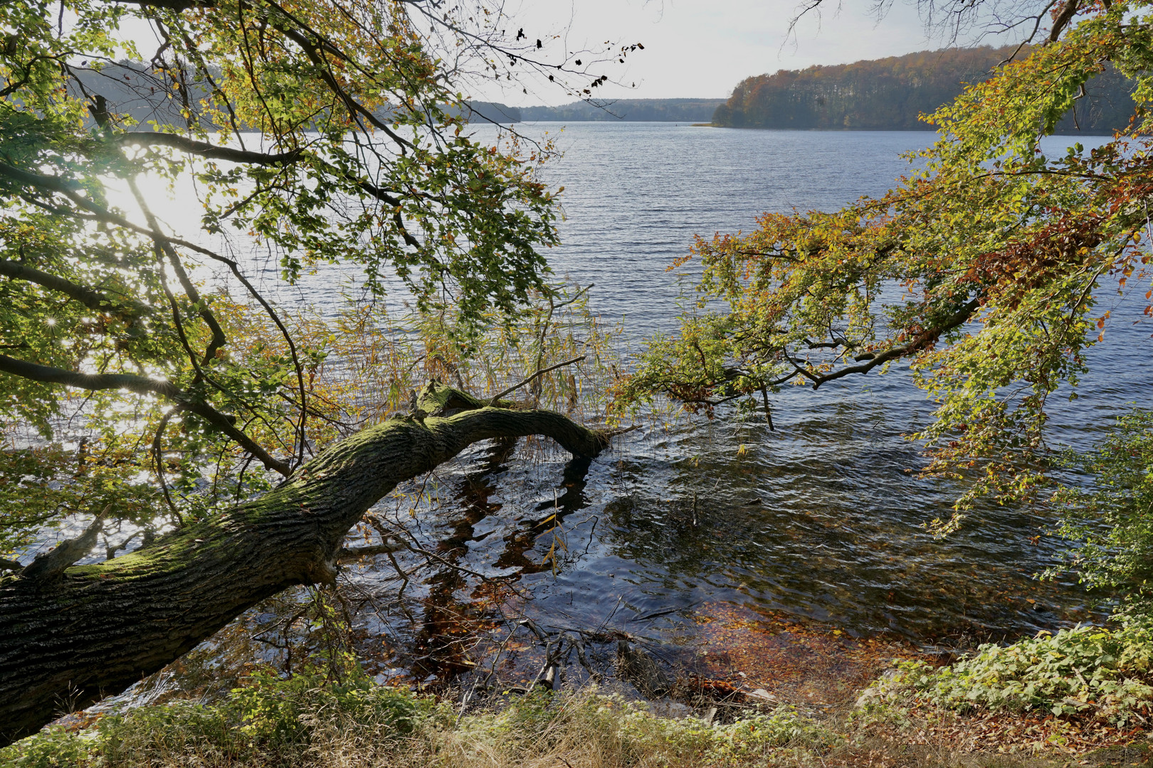 Uferweg Pinnower See