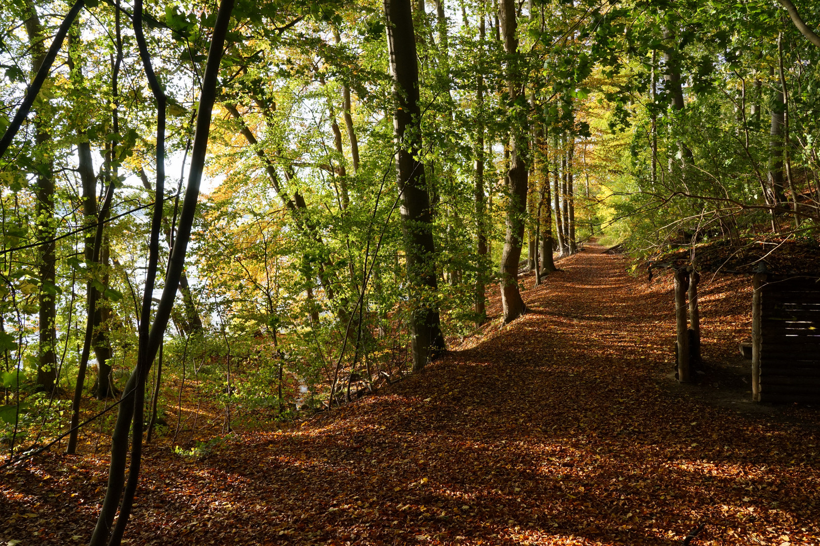 Uferweg Pinnower See