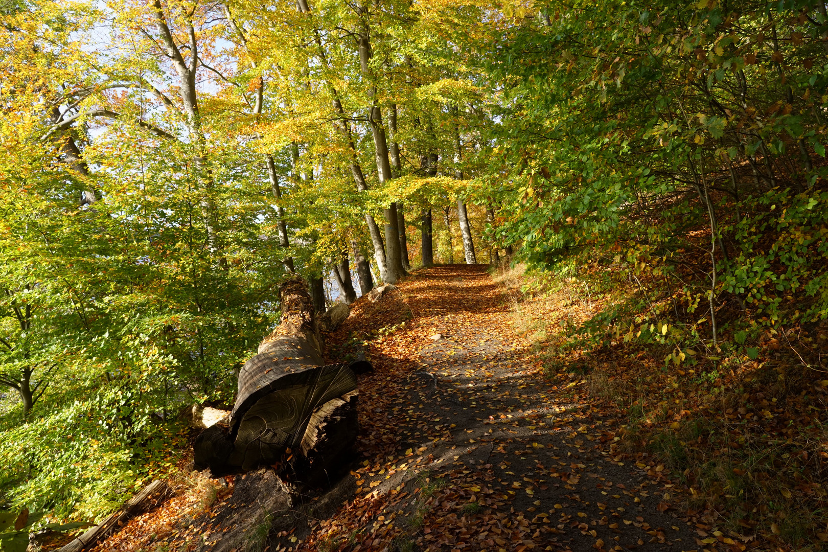 Uferweg Pinnower See