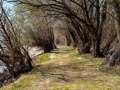 uferwegtunneldurchblick...