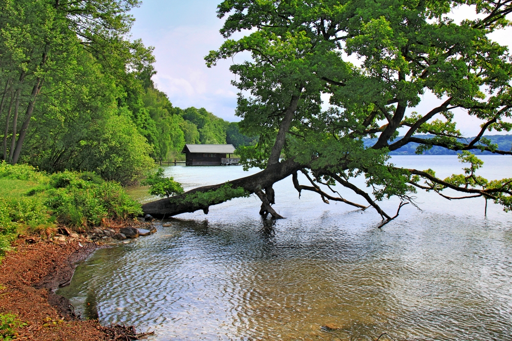 Uferzone am Starnberger See