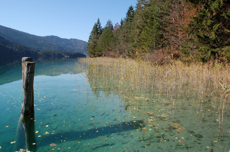 Uferzone am Weißensee Foto & Bild landschaft, bach, fluss & see, see