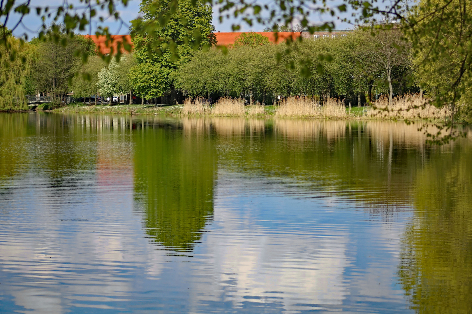 Uferzone des See spiegelt sich