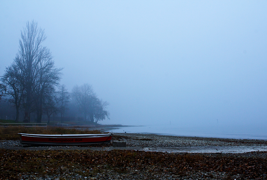 Uferzone im Winterschlaf