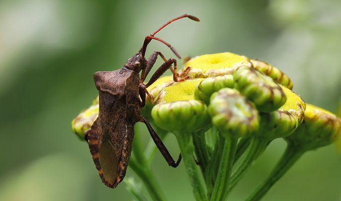 UFF, KLETTERN IST ANSTRENGEND