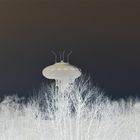 ...............UFO...................