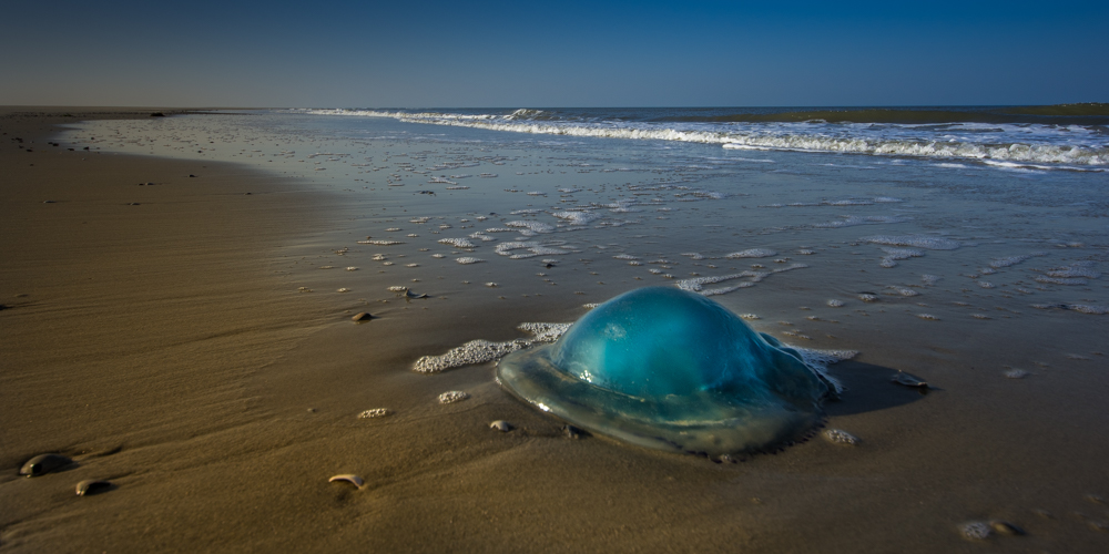 Ufo am Strand