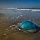 Ufo am Strand