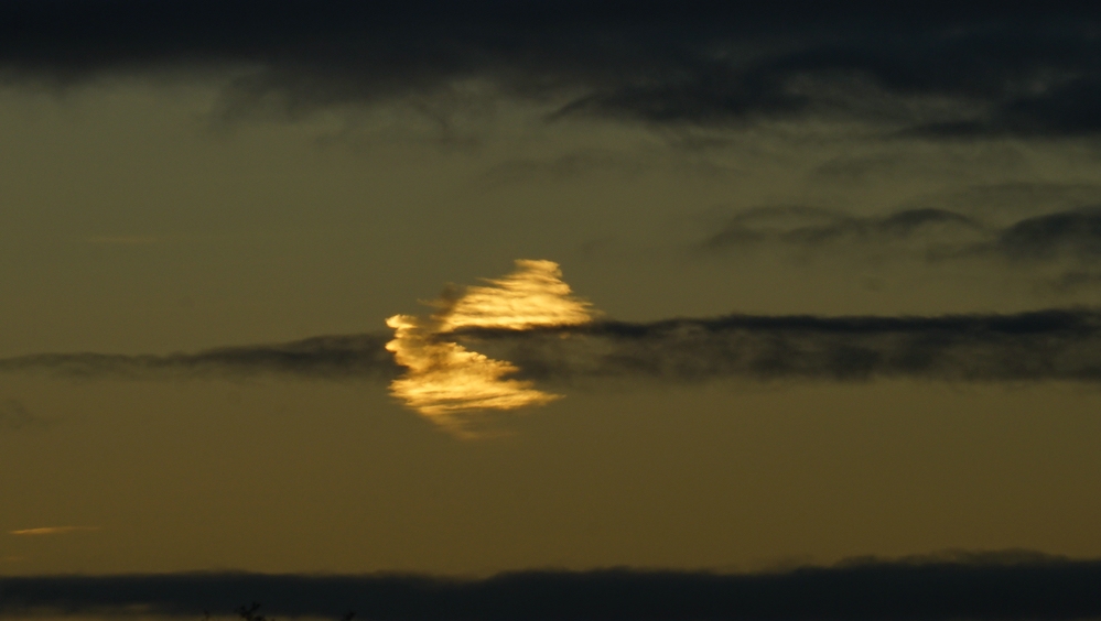 UFO GESICHTET