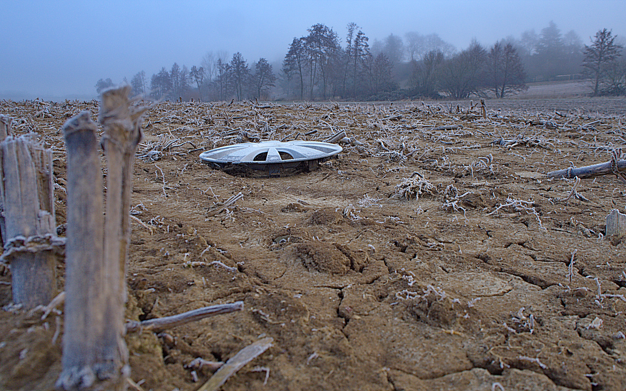 UFO im Feld