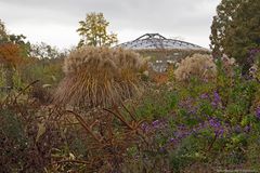 UFO-Landung im Staudengarten