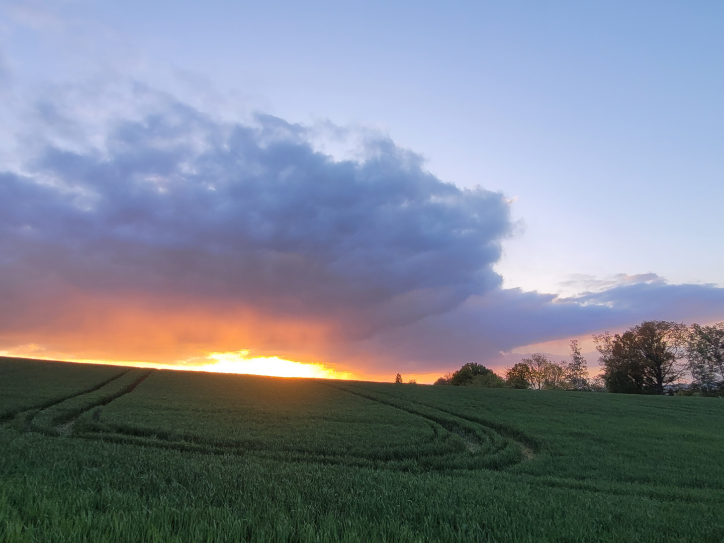 "UFO " - Sonnenuntergang 