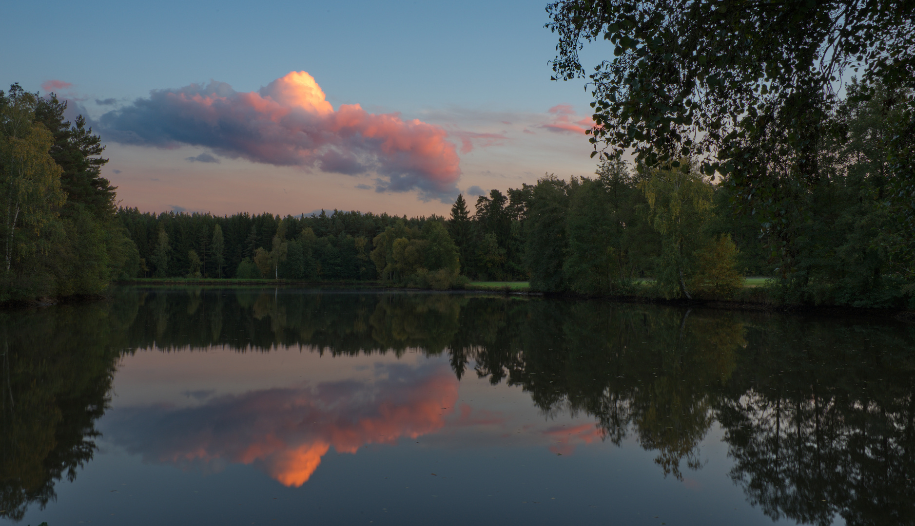 Ufo über dem Krummweiher