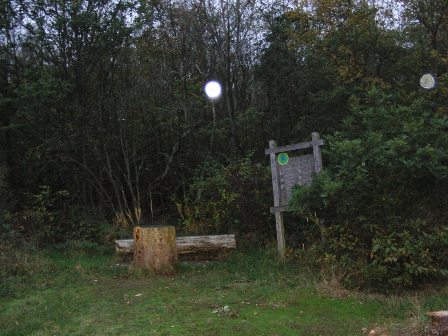 UFOs am Edersee am 17.10.2019 um 18 Uhr? Renate Sültz