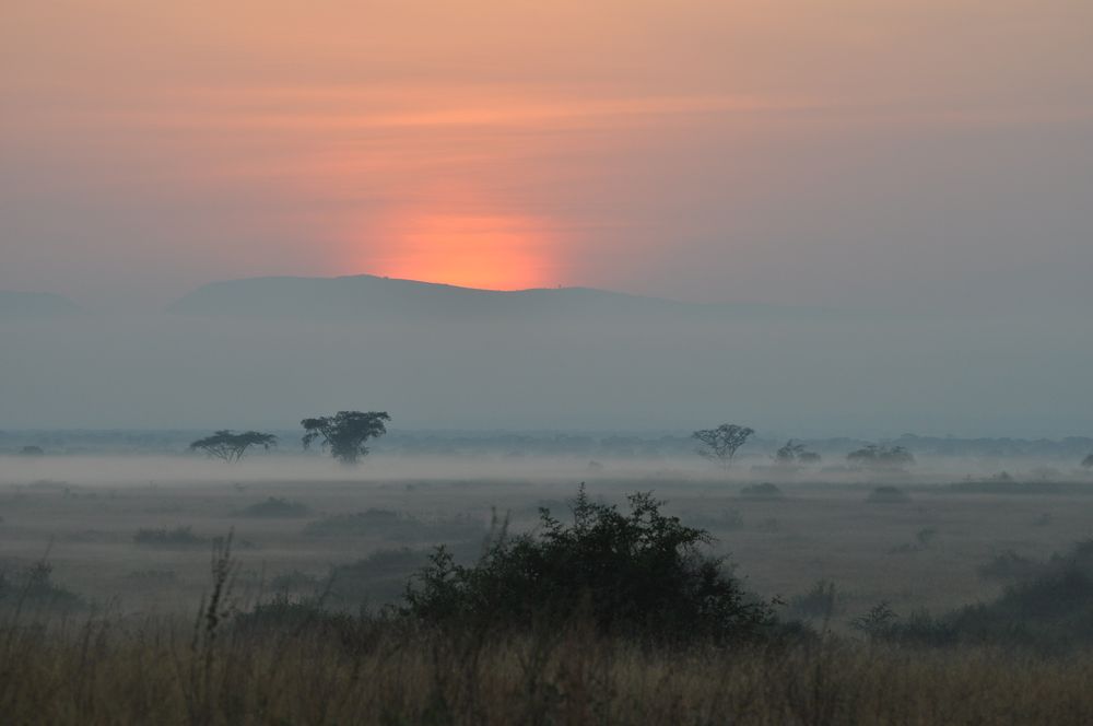 Uganda 2011