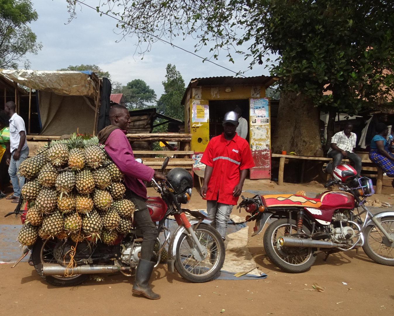 Uganda Ananas