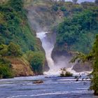 Uganda: Murchison Falls Nationalpark