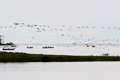 Uganda - Vogelflug am Kazinga Channel