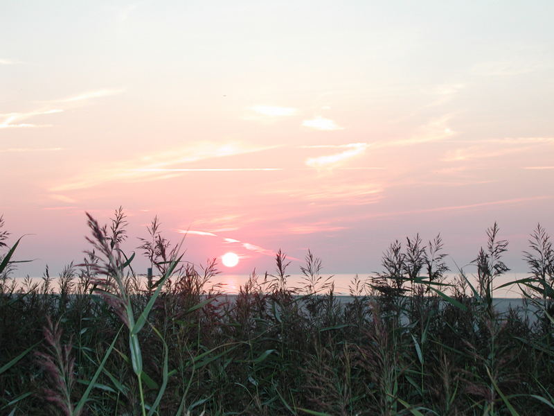 Uggerby Sonnenuntergang mit Schilf