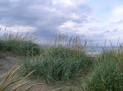 Uggerby strand 2