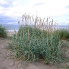 Uggerby strand