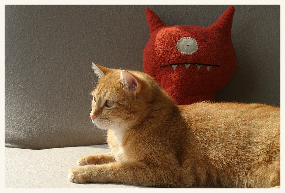 Ugly Doll and Beauty Cat