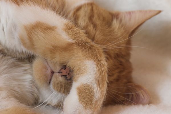 Uhhh ... hell ... lass' mich in Ruhe!