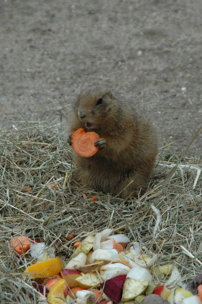 Uhi, hab ich hunger