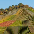 Uhlberg bei Stuttgart