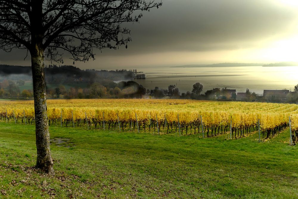 Uhldingen im Herbst