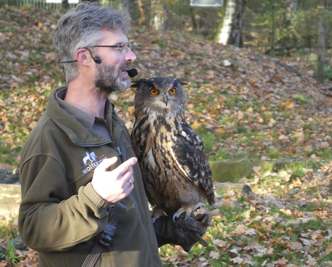 Uhu bei einer Greifvogel-Flugschau