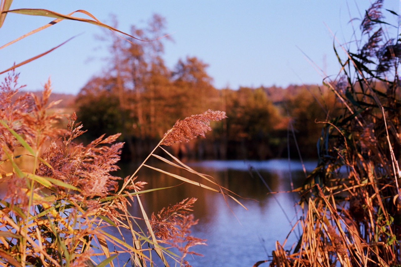 Uhwieser Weiher