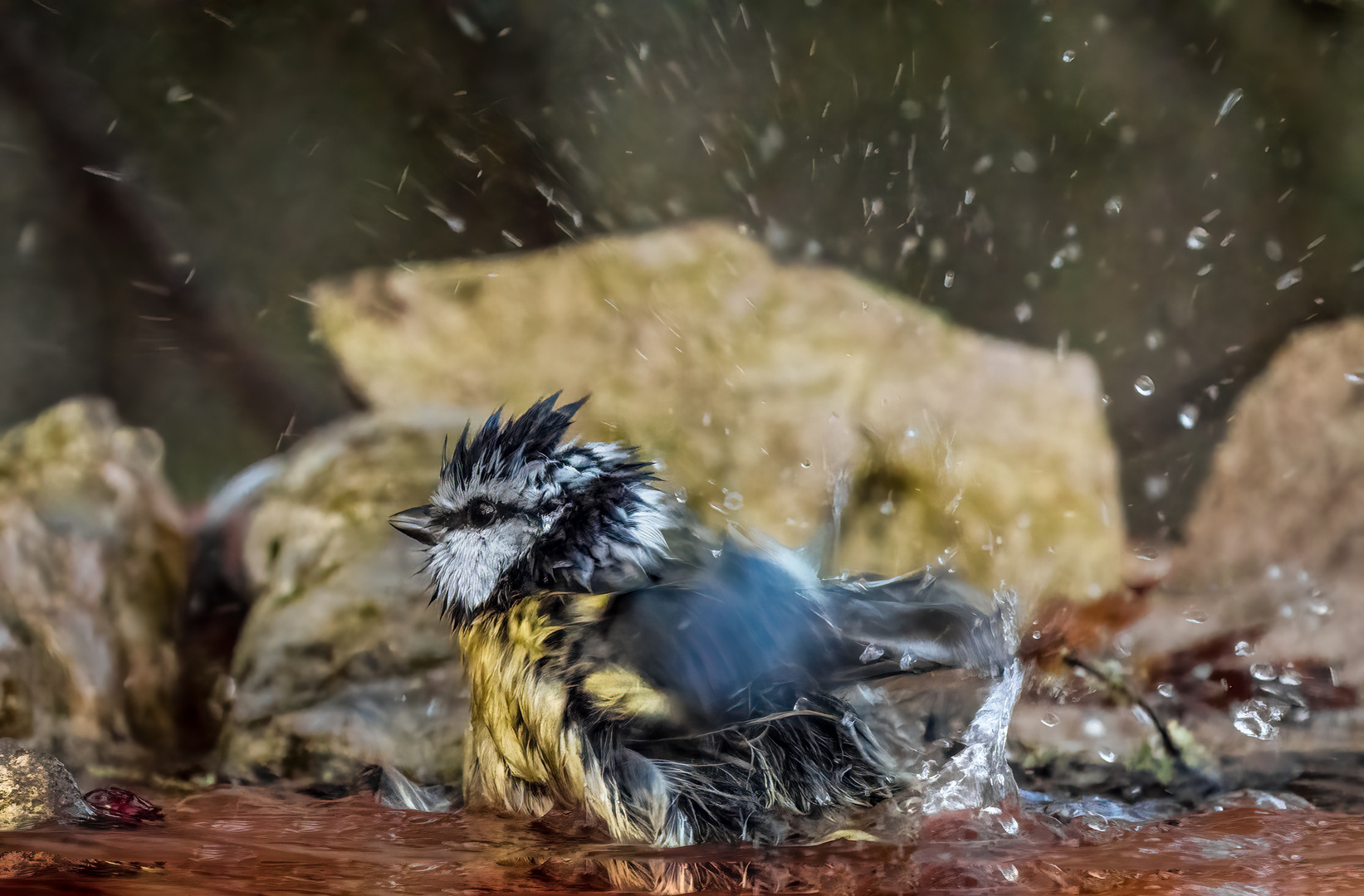 "Uiiii ...... das hat Gespritzt"  (ISO 6400)