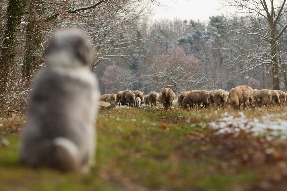 Uiiii, sind das aber viele!